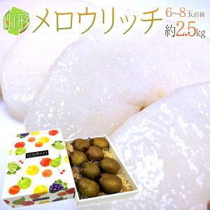y9/5ISz|CgobN̑`XzhR`Y Eb`h Gi 5`8ʑO 2.5kg ϔ my\ 10ȍ~z 