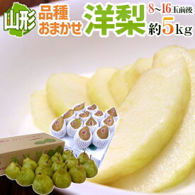 山形産 ”洋梨” 秀品 8〜16玉前後 約5kg 品種おまかせ ラ・フランス、オーロラ、シルバーベルなど【予約 10月中旬以降】 送料無料