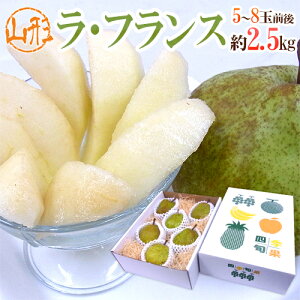 hR`Y tXh Gi 5`9ʑO 2.5kg ϔ EtX my\ 11ȍ~z 