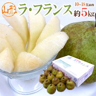 山形産 ”ラフランス” 秀品 10〜18玉前後 約5kg 産地箱 ラ・フランス 洋梨【予約 11月以降】 送料無料