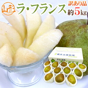 y9/25ISz|CgobN̑`XzR`Y htXh 󂠂 5kg 傫܂ Yn m EtXy\ 10{ȍ~z 