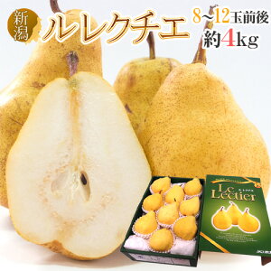 VY h N`Fh Gi 8`12ʑO 4kg ϔ my\ 12ȍ~z 