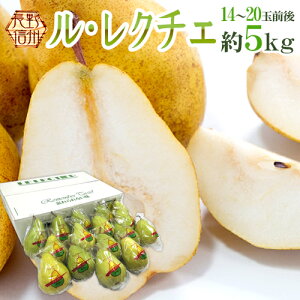 Y hEN`Fh Gi 14`20ʑO 5kg my\ 11ȍ~z 