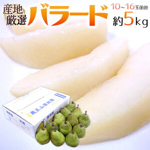 y9/25ISz|CgobN̑`Xzho[hh Gi 10`16ʑO 5kg YnI my\ 9ȍ~z 