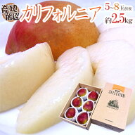赤い洋梨 ”カリフォルニア” 秀品 5〜8玉前後 約2.5kg 化粧箱 産地厳選【予約 9月下旬以降】 送料無料