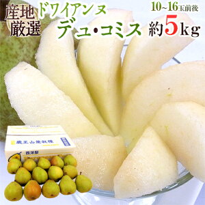 hhCAkEfER~Xh Gi 10`16ʑO 5kg YnI my\ 10ȍ~z 