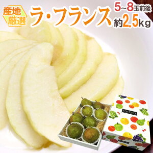 hEtXh Gi 5`8ʑO 2.5kg ϔ YnI m tXy\ 10ȍ~z 