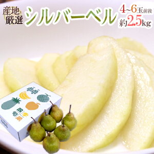 hVo[xh Gi 4`6ʑO 2.5kg ϔ YnI my\ 12ȍ~z 