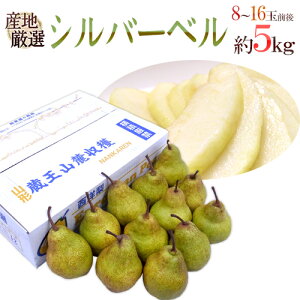 hVo[xh Gi 8`12ʑO 5kg YnI my\ 12ȍ~z 