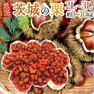 y9/5ISz|CgobN̑`Xzh̘aIh Gi 嗱2L`3LTCY 9`10kgy\ 9{ȍ~z 