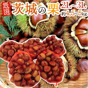 y9/5ISz|CgobN̑`Xzh̘aIh Gi 嗱2L`3LTCY 4.5`5kgy\ 9{ȍ~z 