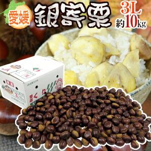 Q JA hIh Gi 嗱3L 10kgy\ 10ȍ~z 