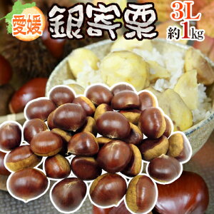 hQ JA Ih Gi 嗱3L 1kgy\ 10ȍ~z