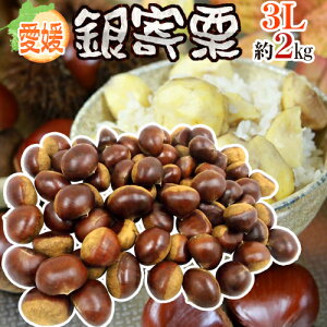 hQ JA Ih Gi 嗱3L 2kgy\ 10ȍ~z 