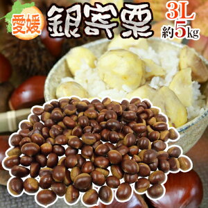 hQ JA Ih Gi 嗱3L 5kgy\ 10ȍ~z 