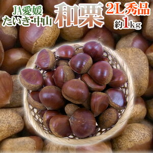 hQ JAER aIh Gi 嗱2L 1kgy\ 9{ȍ~z 