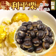 ”利平栗” 大粒2L以上 約1kg 裂果 熊本産・愛媛産など 訳あり【予約 9月末以降】