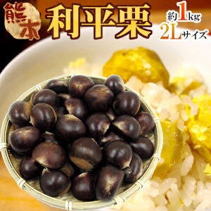 y9/5ISz|CgobN̑`XzhIh Gi 嗱2L 1kg F{YEQYȂǁy\ 9{ȍ~z