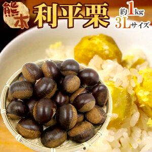 y9/5ISz|CgobN̑`XzhIh Gi 嗱3L 1kg F{YEQYȂǁy\ 9{ȍ~z