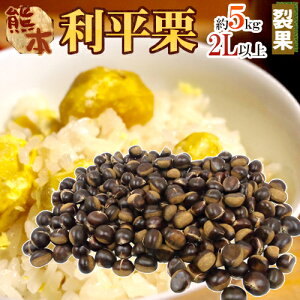 hIh 嗱2Lȏ 5kg  F{YEQYȂ 󂠂y\ 9ȍ~z 