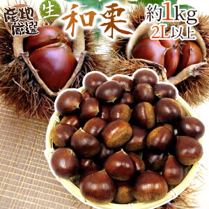 hYaIh Gi 嗱2LTCYȏ 1kg YnI Iy\ 9{ȍ~z 