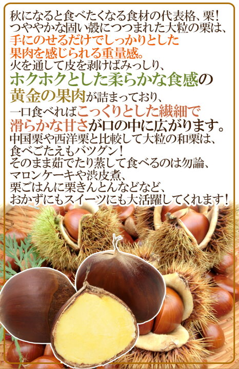 楽天市場】”国産和栗” 秀品 大粒2Lサイズ以上 約1kg 産地厳選 生栗【予約 9月下旬以降】 送料無料 : くらし快援隊〜お中元お歳暮ギフト 楽天市場】”国産和栗” 秀品 大粒2Lサイズ以上 約1kg 産地厳選 生栗【予約 9月下旬以降】 送料無料 : くらし快援隊〜お中元お歳暮ギフト