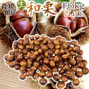 hYaIh Gi 嗱2LTCYȏ 3kg YnI Iy\ 9{ȍ~z 