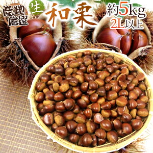 hYaIh Gi 嗱2LTCYȏ 5kg YnI Iy\ 9{ȍ~z 