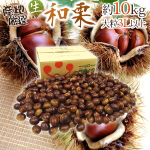 hYaIh Gi 嗱3LTCYȏ 10kg YnI Iy\ 9{ȍ~z 
