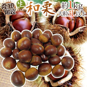 hYaIh Gi 嗱3LTCYȏ 1kg YnI Iy\ 9{ȍ~z 