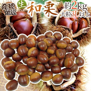 y9/5ISz|CgobN̑`XzhYaIh Gi 嗱3LTCYȏ 2kg YnI Iy\ 9{ȍ~z 