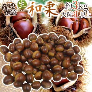 hYaIh Gi 嗱3LTCYȏ 3kg YnI Iy\ 9{ȍ~z 