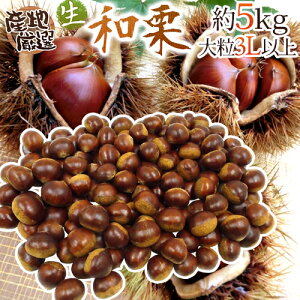 ”国産和栗” 秀品 超大粒3Lサイズ以上 約5kg 産地厳選 生栗【予約 9月下旬以降】 送料無料