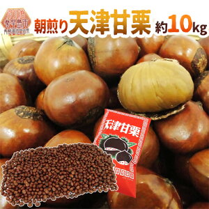 ĂāEu肽Ă𓖓I hVÊÌIh 10kg ospܕttCxgEՂEwՁEГsɁy\ 10{ȍ~z 