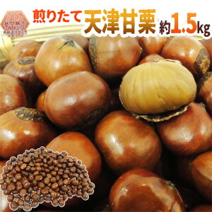 hVÊÌIh 1.5kgi500g×3pcj YnÎꂽĐVIĂāEu肽Ăl߂܂Iy\ 10{ȍ~z 