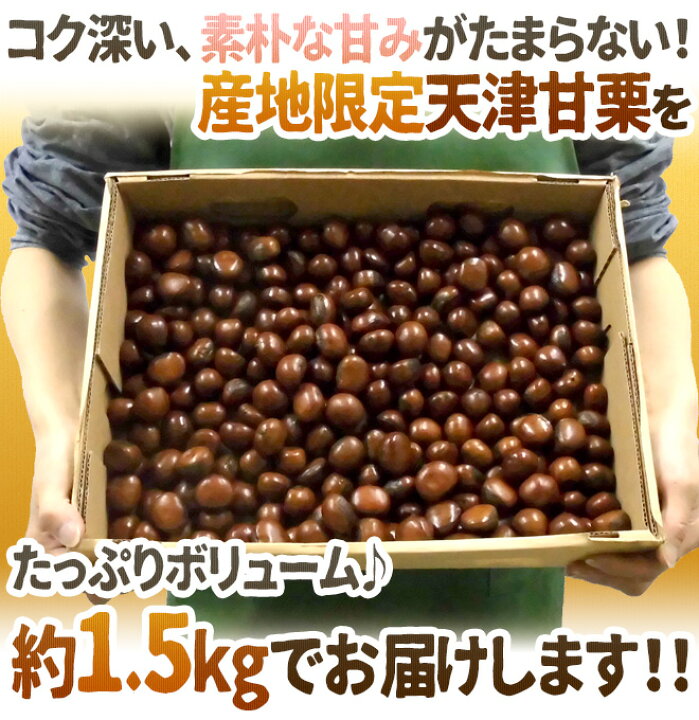 訳あり　丹波栗　むきグリ　丹波産　500g