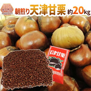 ĂāEu肽Ă𓖓I hVÊÌIh 20kg ospܕttCxgEՂEwՁEГsɁy\ 10{ȍ~z 