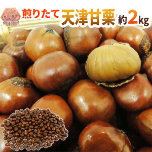 y9/20ISz|CgobN̑`XzhVÊÌIh 2kgi500g×4pcj YnÎꂽĐVIĂāEu肽Ăl߂܂Iy\ 10{ȍ~z 