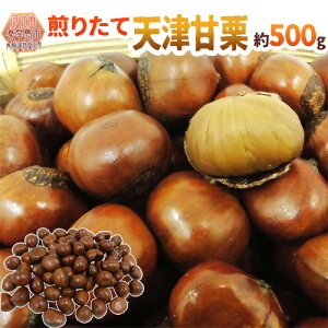 hVÊÌIh 500g×1pc YnÎꂽĐVIĂāEu肽Ăl߂܂Iy\ 10{ȍ~z