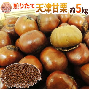 ”天津甘栗” 約5kg(約500g×10pc) こだわり産地限定!採れたて新栗♪焼きたて・炒りたてを詰めました!【予約 10月中旬以降】 送料無料