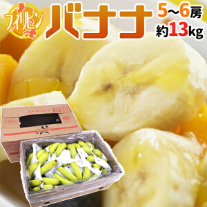 �t�B���s���Y �h�o�i�i�h 5�`6�[���� ��13kg ��������