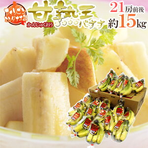 tBs X~t hÏnoiih 1 15kg 21[聛 