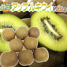 楽天市場 北海道 キウイフルーツ 栽培の通販