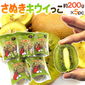 쌧 hʂLECh 200g×s5pcti1pc6`11ʑOjy\ 11ȍ~z 