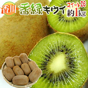h쌧  XC[g16h 8`10ʑO 1kg Œᓜx15.5xȏۏ LECy\ 11{ȍ~z
