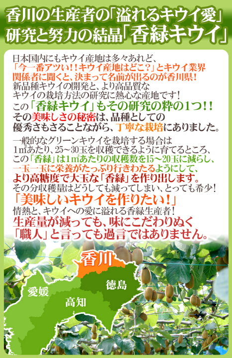 楽天市場】香川県 ”香緑 スイート16” 8〜10玉前後 約1kg 最低糖度15.5度以上保証 キウイ【予約 11月下旬以降】 : くらし快援隊〜お中元お歳暮ギフト 楽天市場】香川県 ”香緑 スイート16” 8〜10玉前後 約1kg 最低糖度15.5度以上保証 キウイ【予約 11月下旬以降】 : くらし快援隊〜お中元お歳暮ギフト