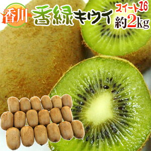 キウイ 緑の人気商品 通販 価格比較 価格 Com キウイ 緑の人気商品 通販 価格比較 価格 Com