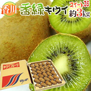 쌧 h XC[g16h 24`30ʑO 3kg Œᓜx15.5xȏۏ LECy\ 11{ȍ~z 