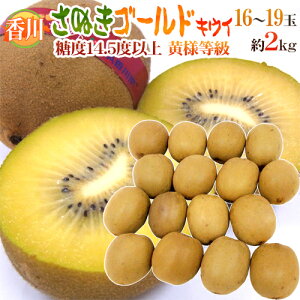 h쌧 ʂS[hh ōulv M`LTCY 16`19ʑO 2kgy\ 10{ȍ~z 