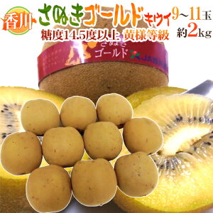 h쌧 ʂS[hh ōulv 4Lȏ 9`11 2kgy\ 10{ȍ~z 